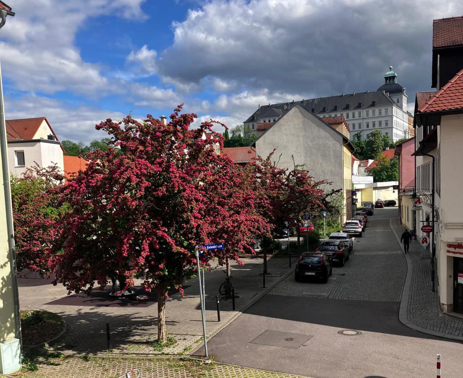 Ferienzimmer Healing Und Montuerwohnung Weissenfels Luaran gambar